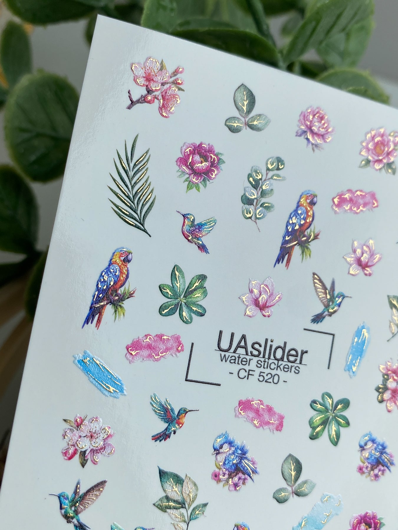 Nail Water Decal CF-520