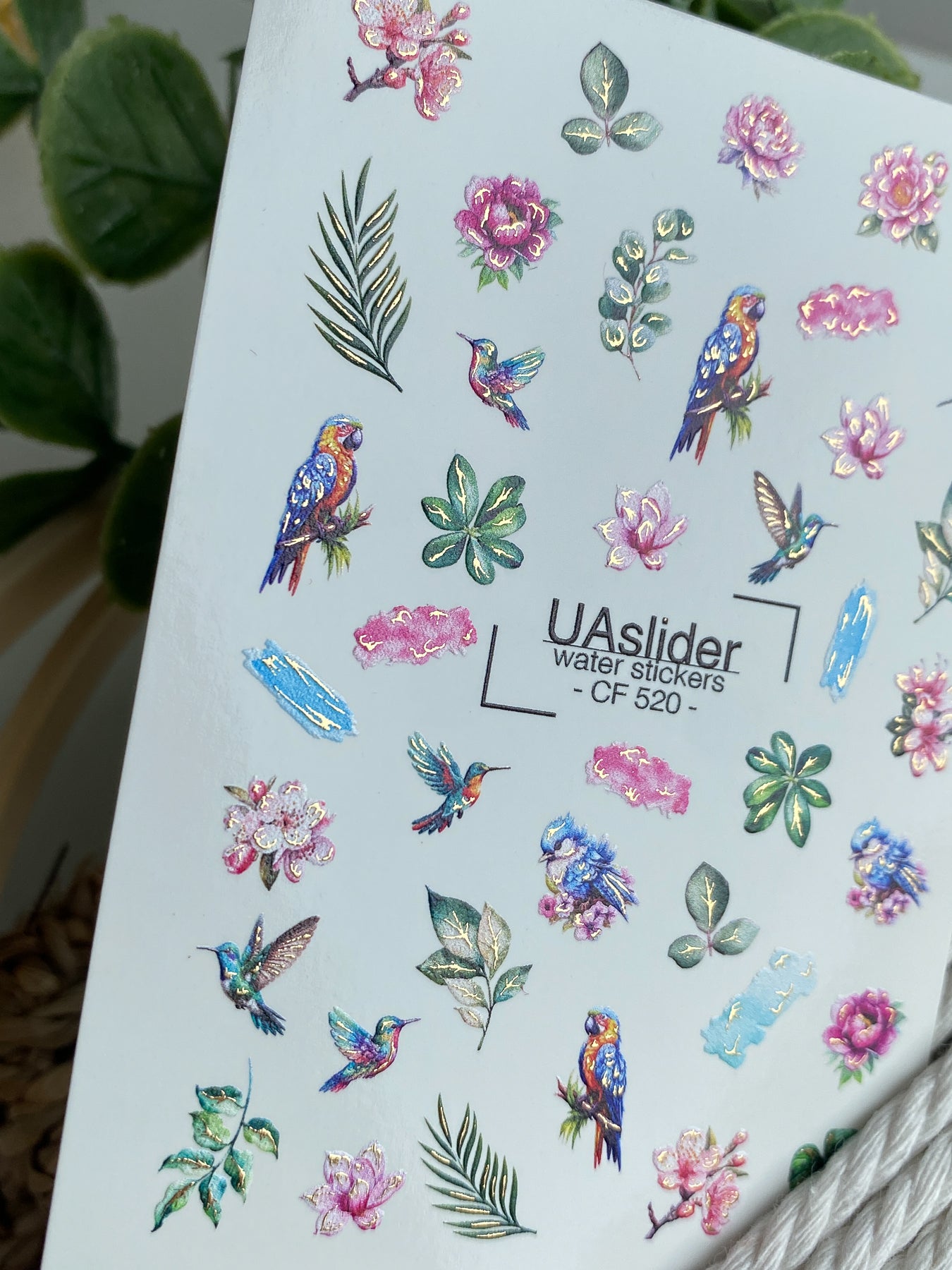 Nail Water Decal CF-520
