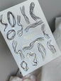 Nail Water Decal 179 Nail WD