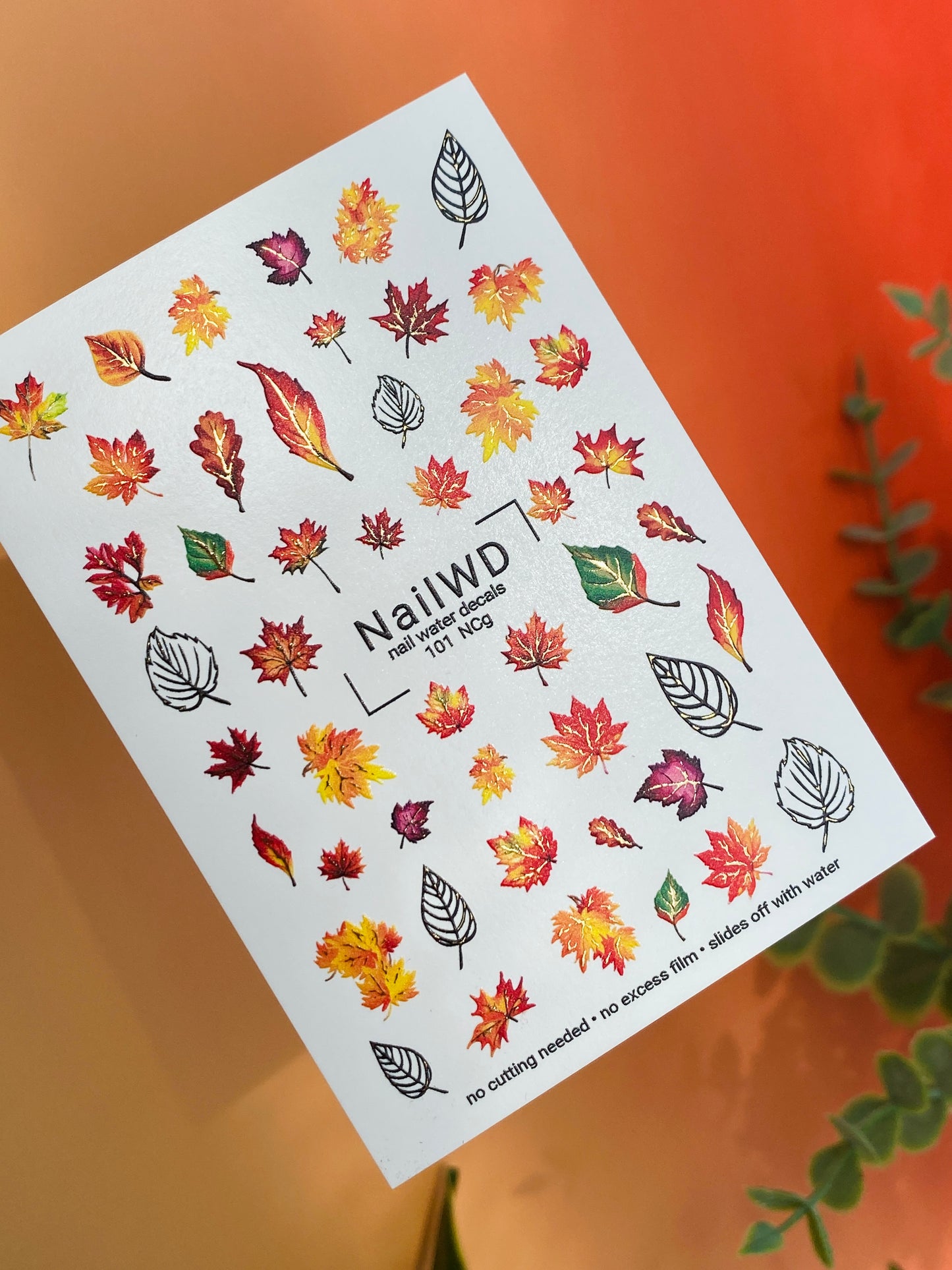 Nail Water Decal 101 NailWD